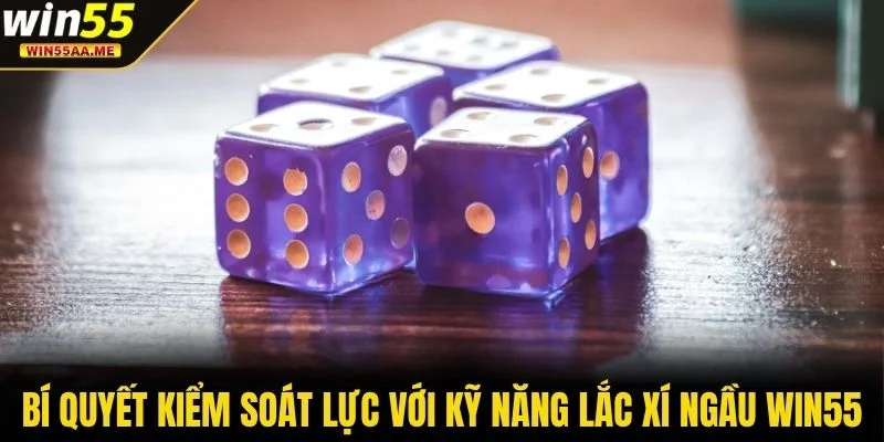 Kỹ Năng Lắc Xí Ngầu WIN55 - Hé Lộ Cách Để Bạn Có Lợi Thế 3 Bí quyết kiểm soát lực với kỹ năng lắc Xí Ngầu WIN55