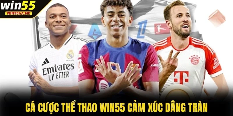 WIN55 8 Cá cược thể thao WIN55 cảm xúc dâng tràn